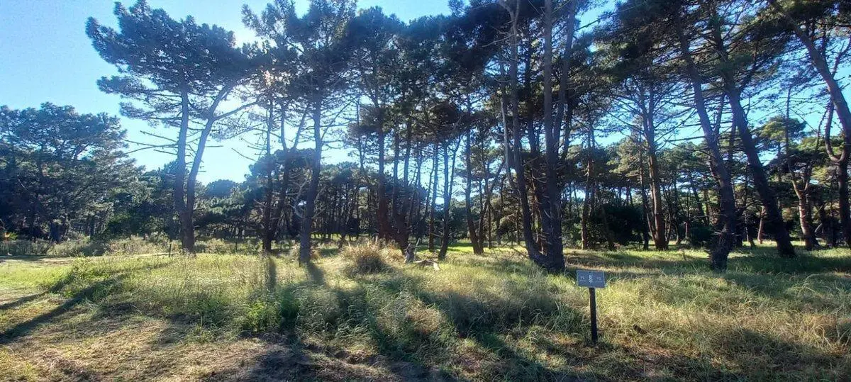 Excelente Lote - Barrio Bosques, Pinamar 4