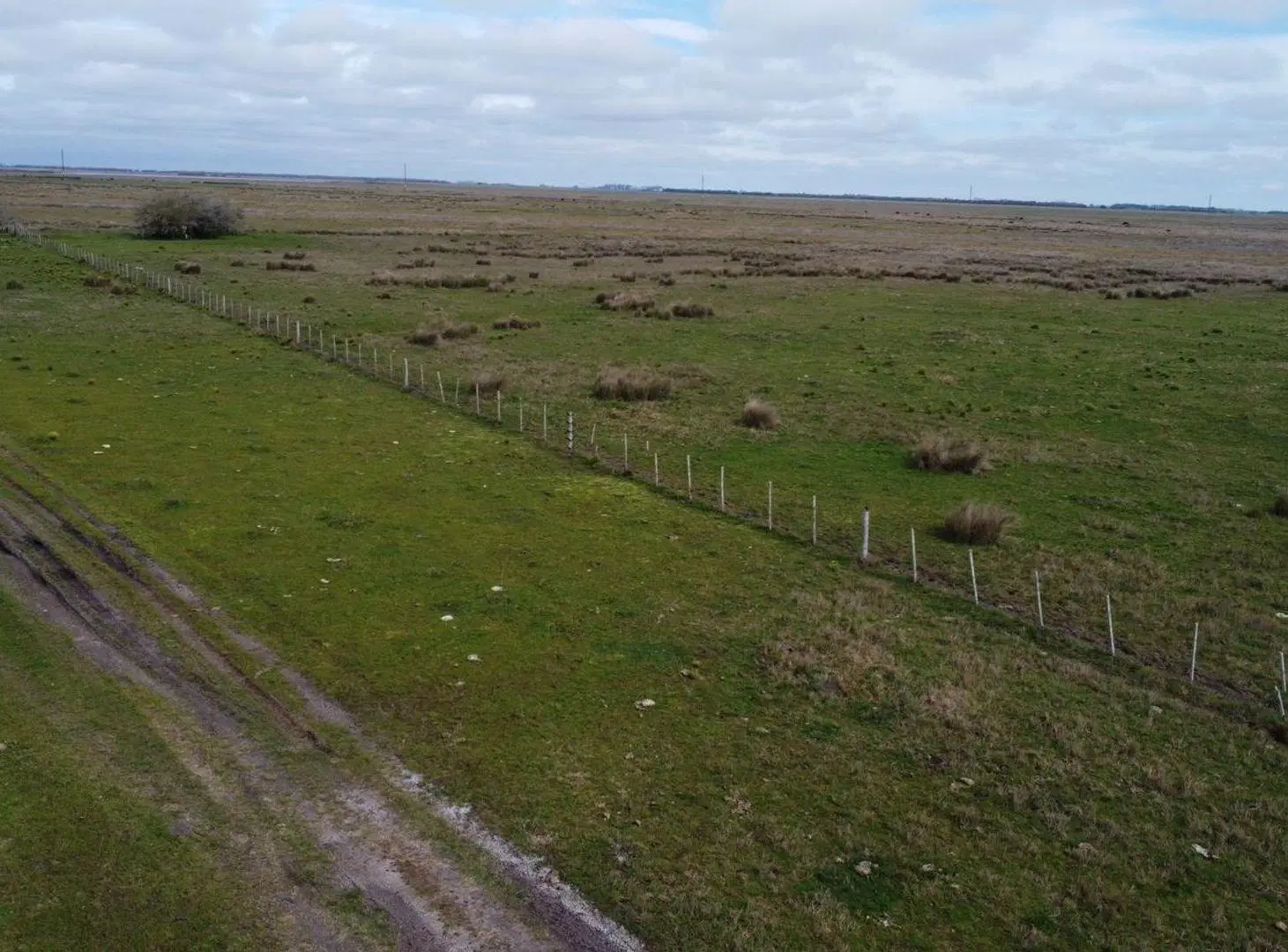 Campo Venta Gral. Lavalle 249 ha.- Sobre Asfalto 4
