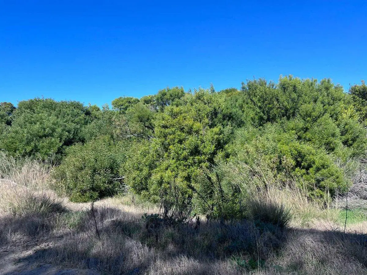 VENTA LOTE NORTHBEACH 3
