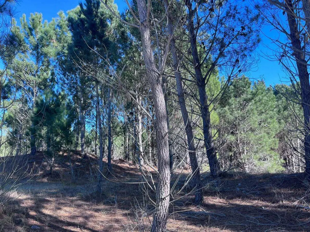 VENTA LOTE NORTHBEACH 4