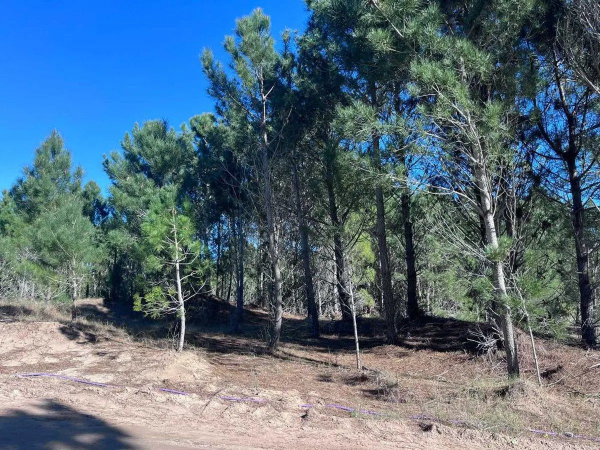 VENTA LOTE NORTHBEACH 2