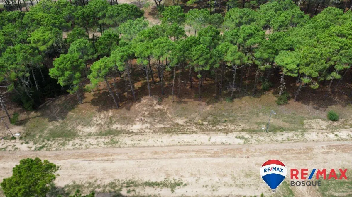 Venta Lote Pinamar Bosques 2