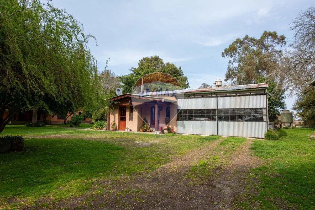 Venta Quinta Gral Madariaga, idel para apicultores 5