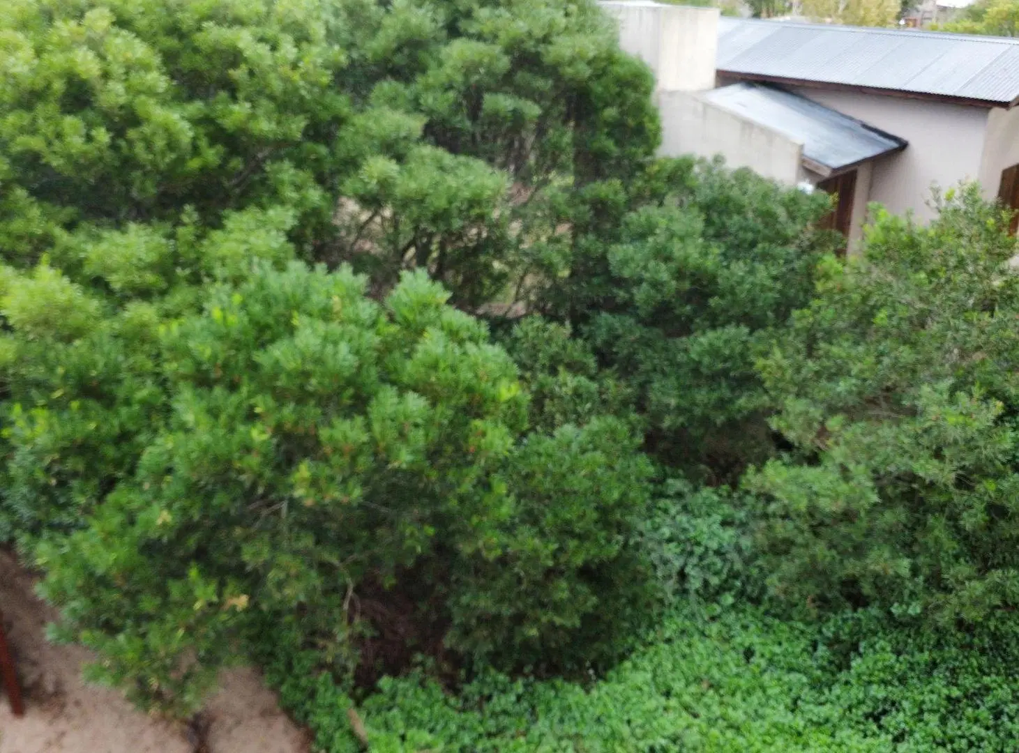 VENTA LOTE EN MAR AZUL 5
