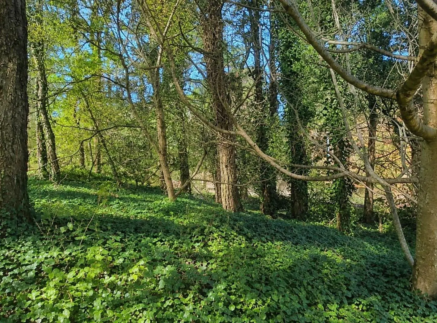 Venta Lote Mar De Las Pampas 2