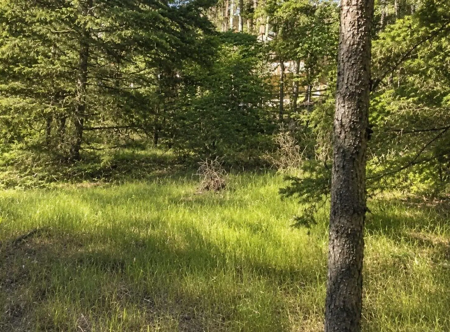 Venta Lote Mar De Las Pampas 7