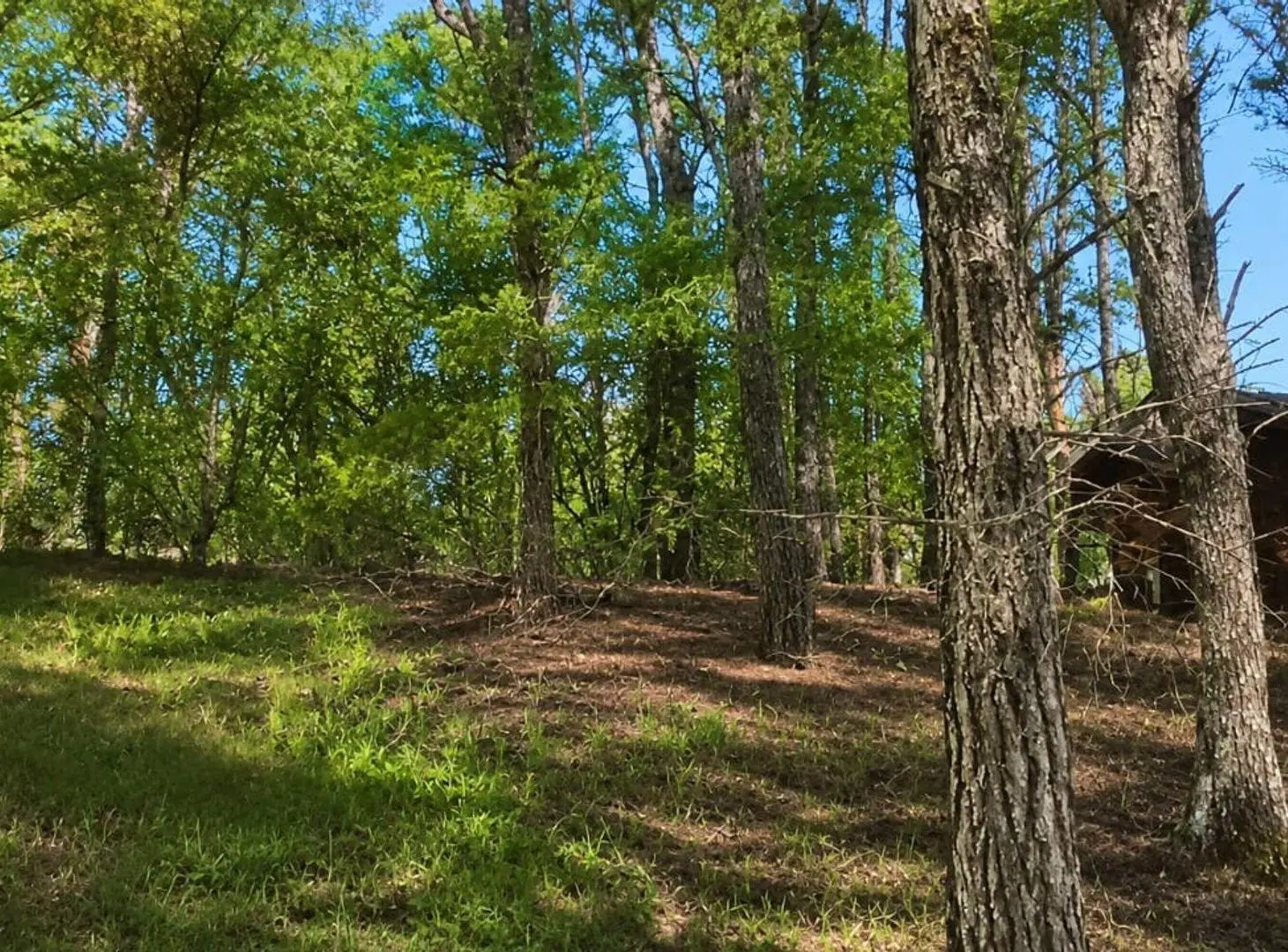 Venta Lote Mar De Las Pampas 3