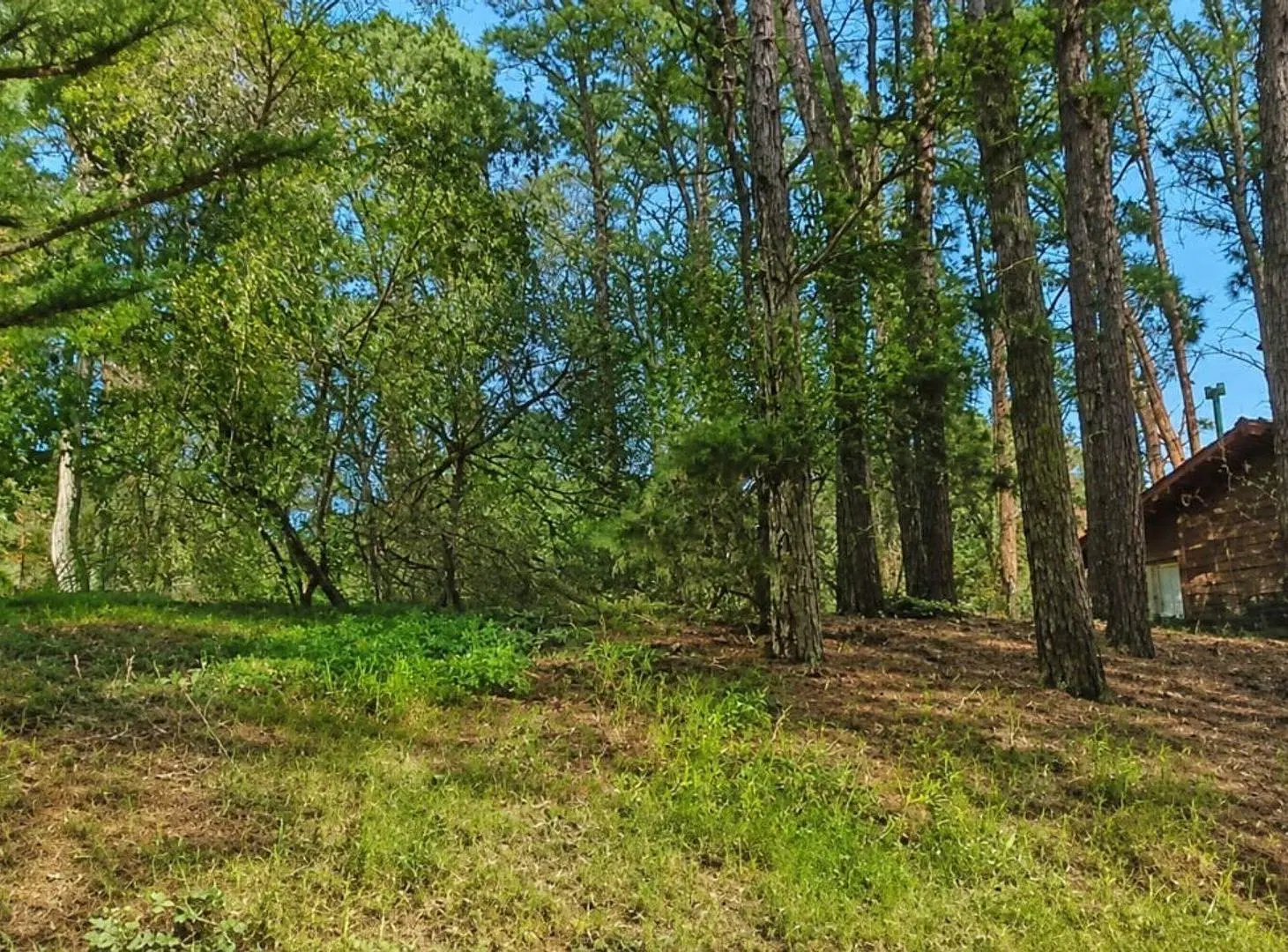 Venta Lote Mar De Las Pampas 5