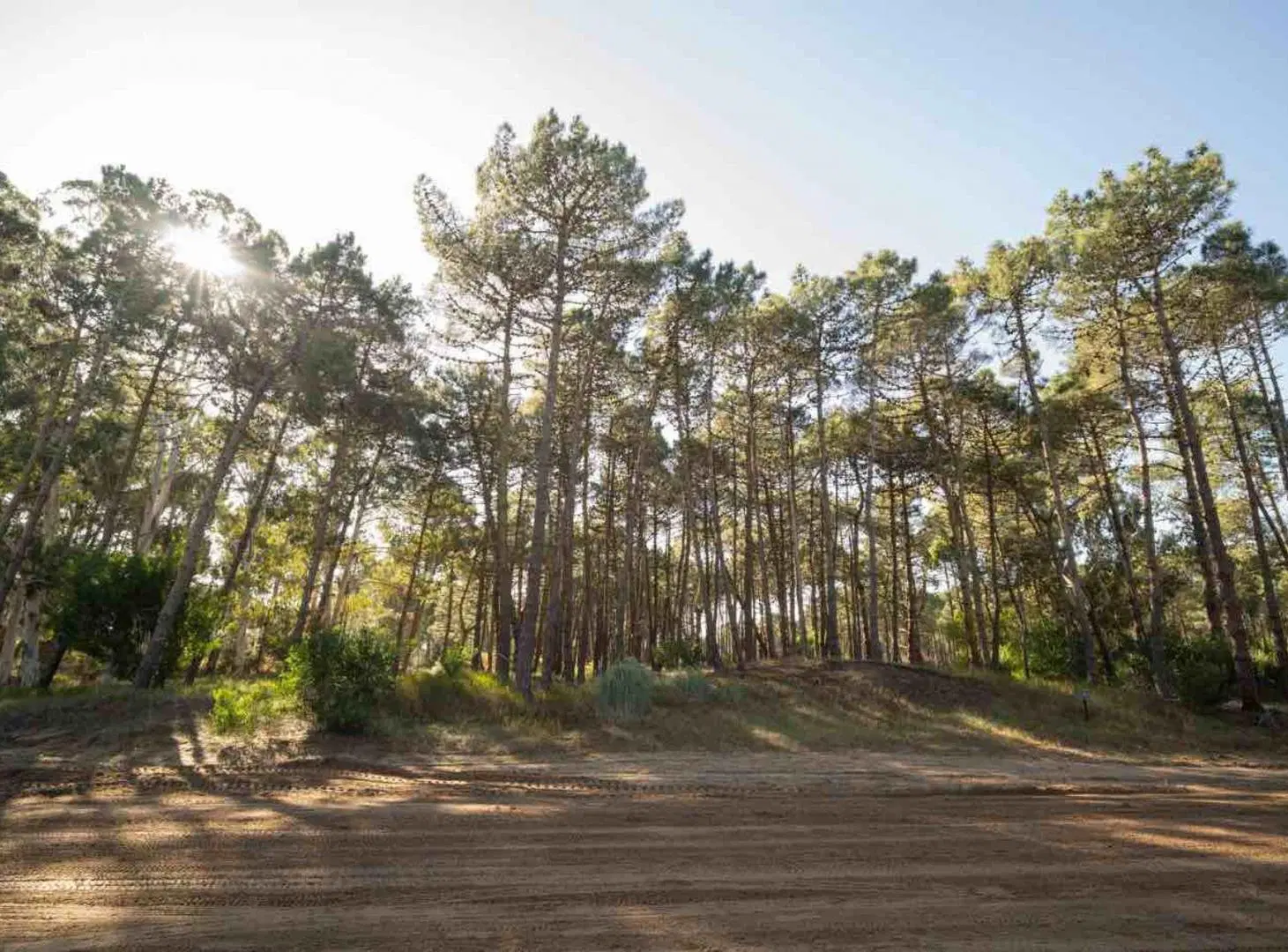 VENTA LOTE BARRIO BOSQUES ETAPA 1 6