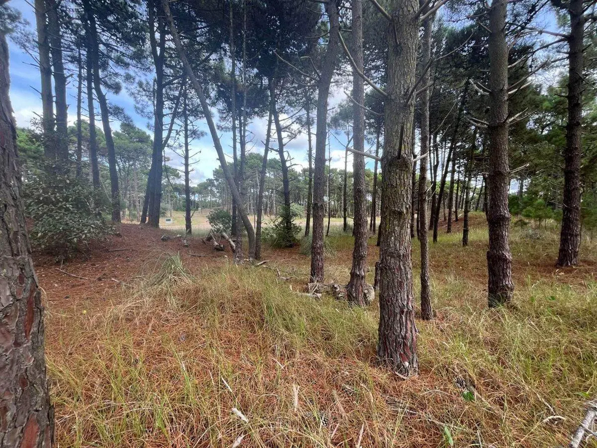 VENTA DE LOTE EN PINAMAR. BARRIO BOSQUES ETAPA 1 8
