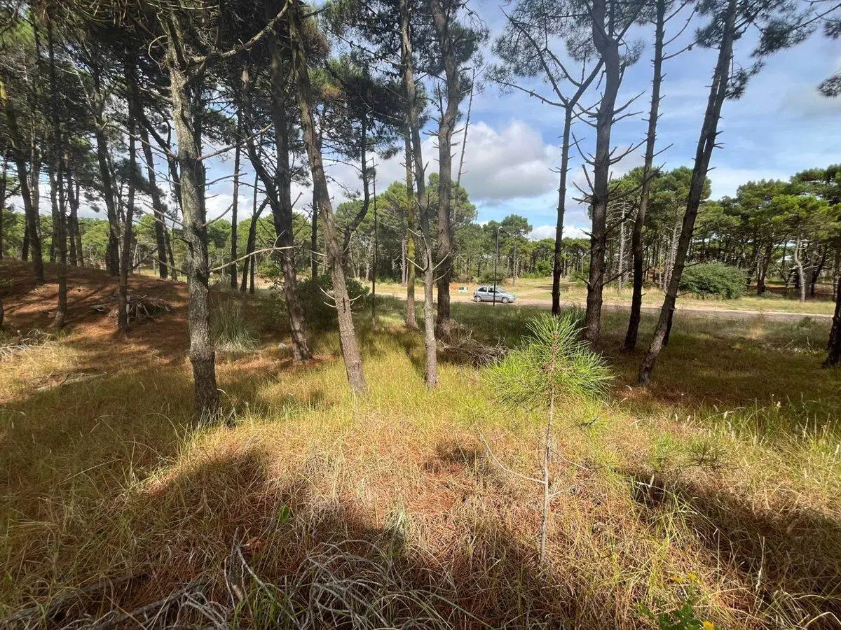 VENTA DE LOTE EN PINAMAR. BARRIO BOSQUES ETAPA 1 2