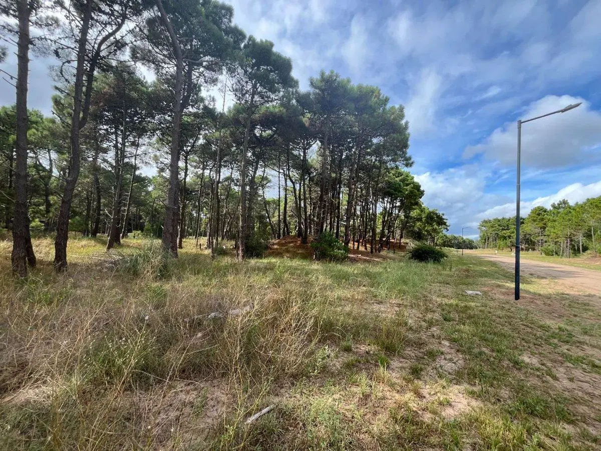 VENTA DE LOTE EN PINAMAR. BARRIO BOSQUES ETAPA 1 5