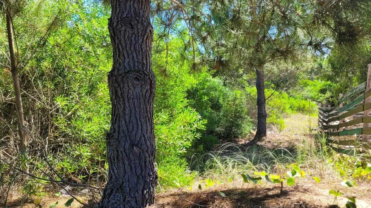 VENTA LOTE COSTA ESMERALDA FONDO LIBRE OPORTUNIDAD 4