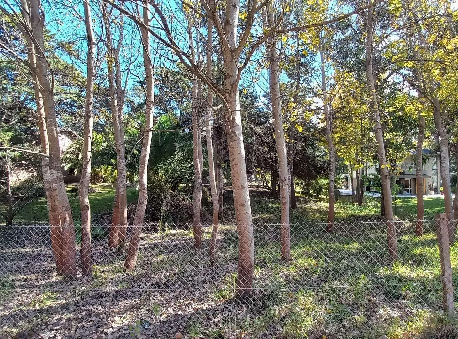 LOTE VENTA EN CARILO SOBRE AVENIDA DIVISADERO 8