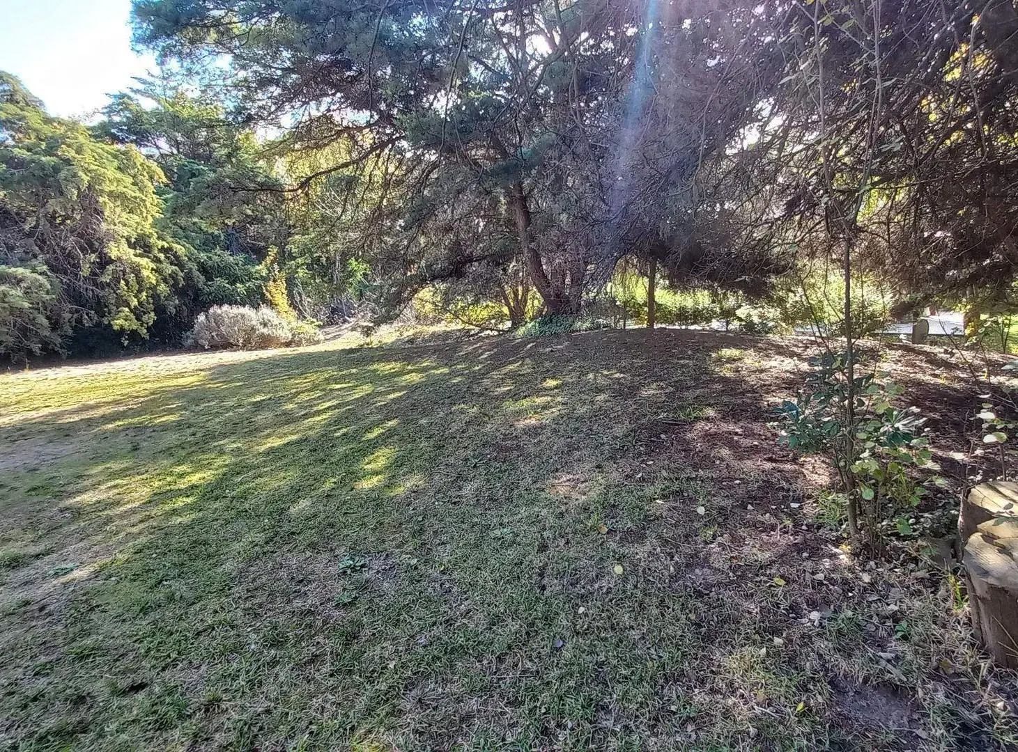 LOTE VENTA EN CARILO SOBRE AVENIDA DIVISADERO 4
