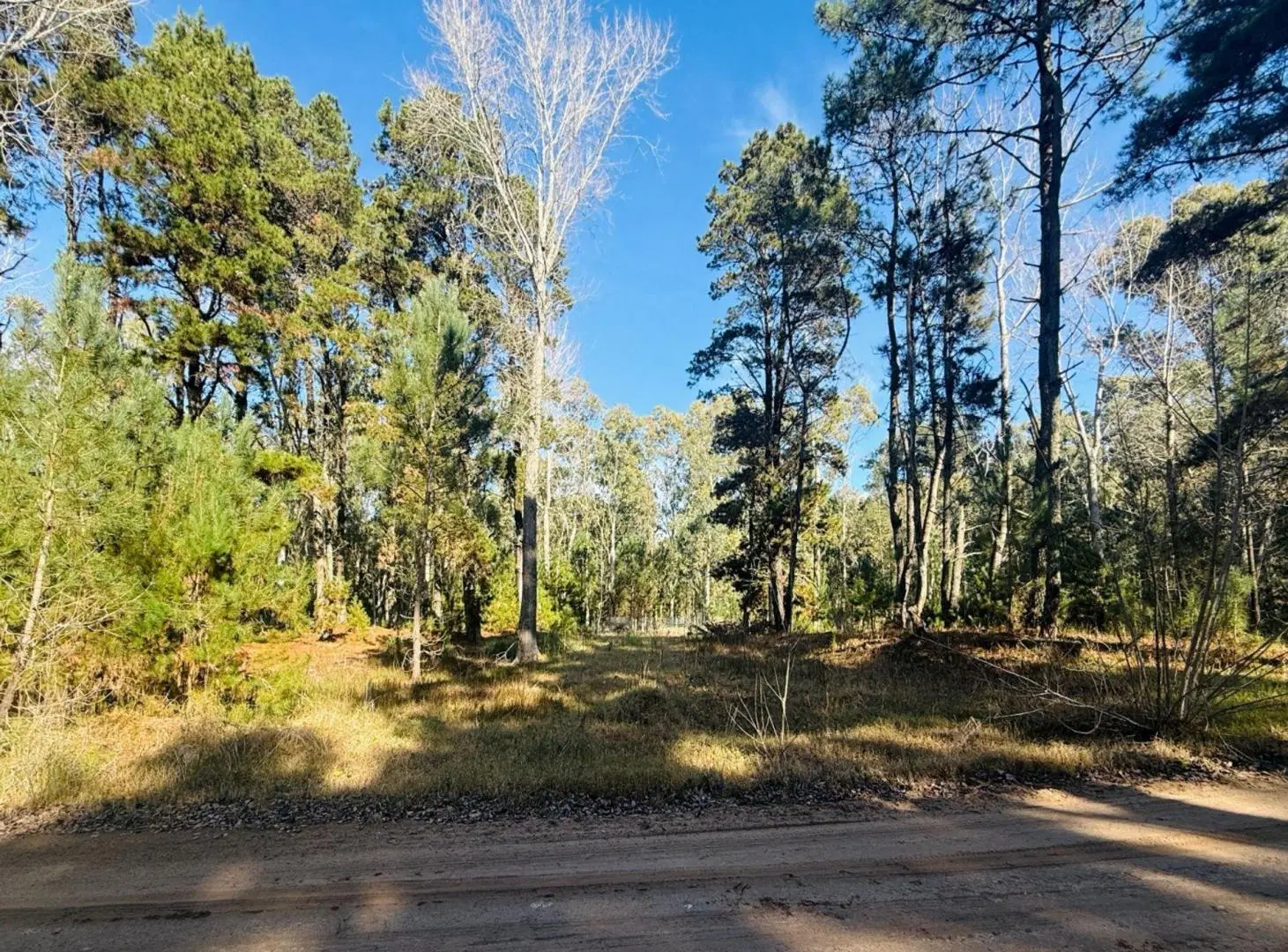 LOTE 426 VENTA EN VILLA ROBLE SERENA 4