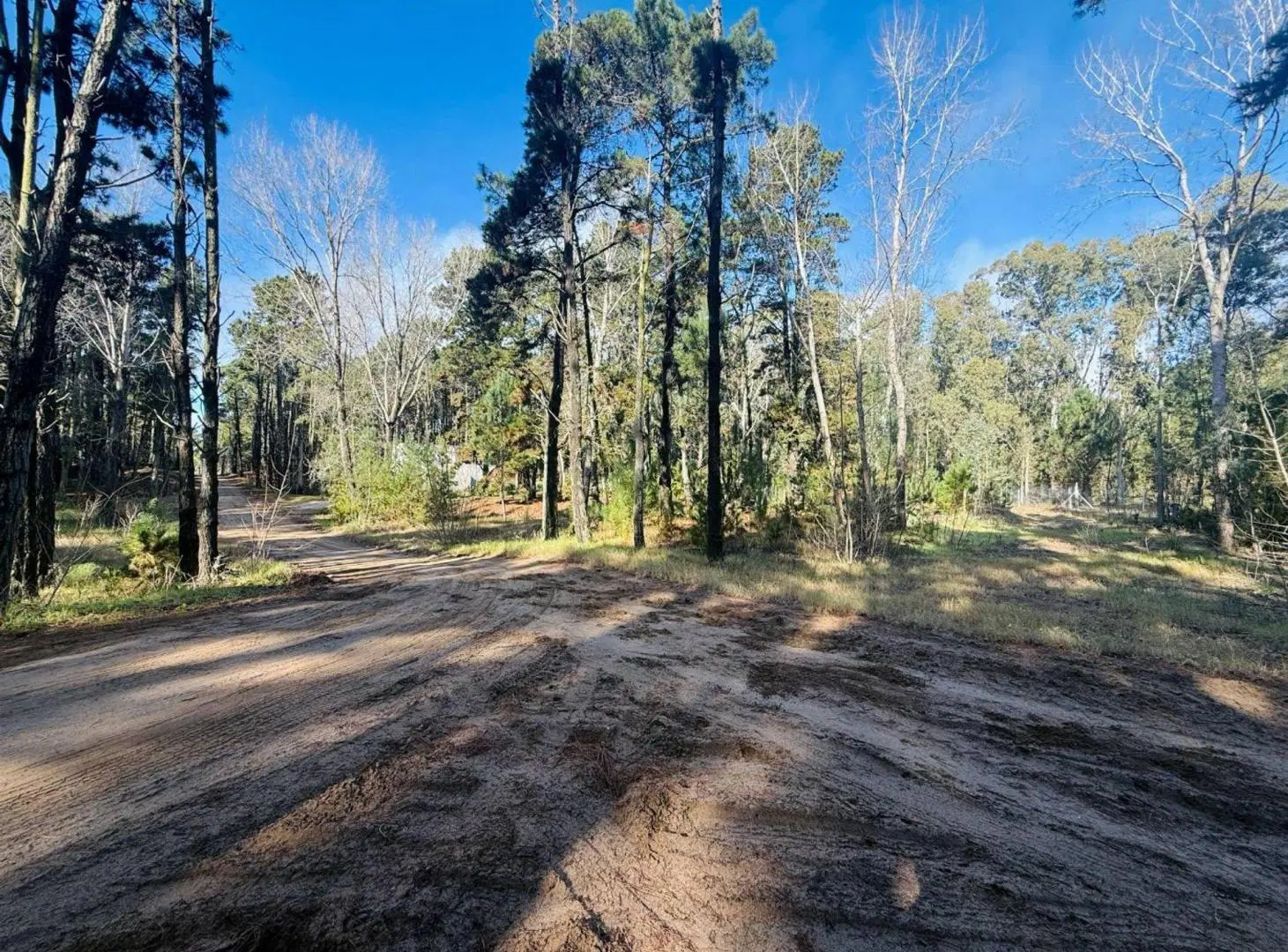 LOTE 426 VENTA EN VILLA ROBLE SERENA 3