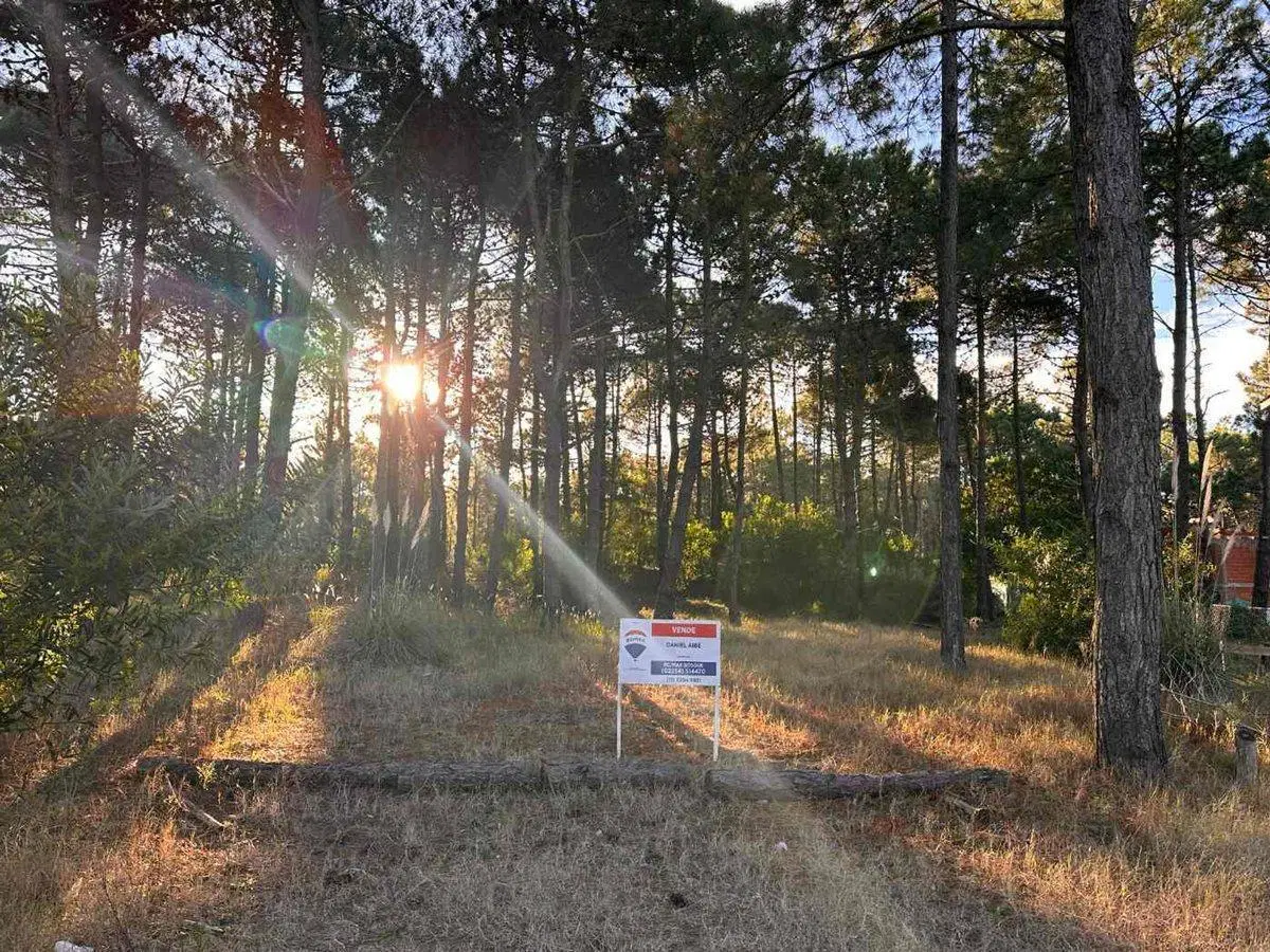 VENTA LOTE PINAMAR NORTE 2