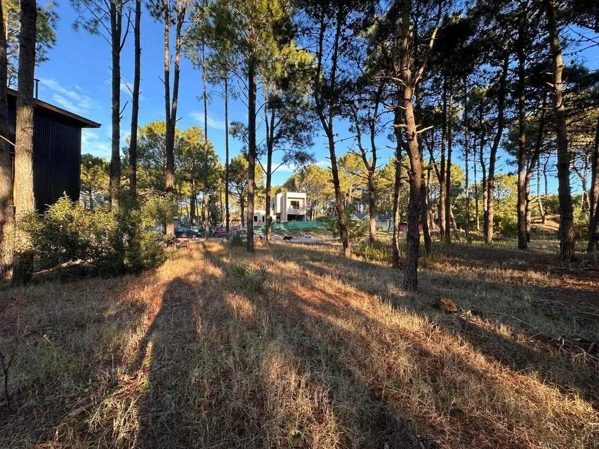 VENTA LOTE PINAMAR NORTE 8