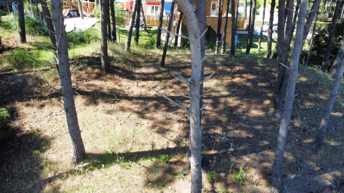 Foto de LOTE EN VENTA PINAMAR BARRIO NAYADES EN ALTURA, imagen 3