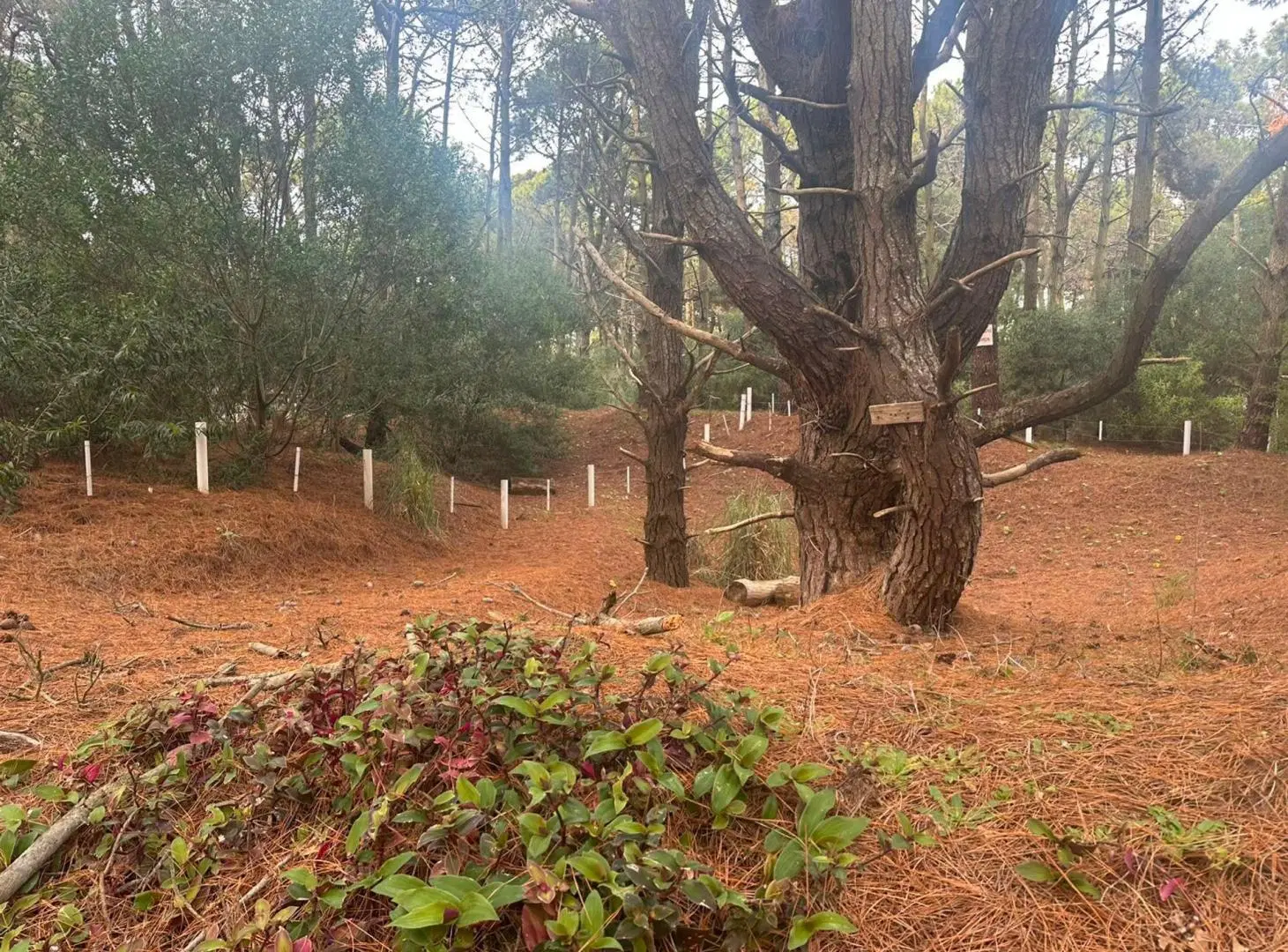 LOTE CERCA DEL MAR VENTA COSTA DEL ESTE 3