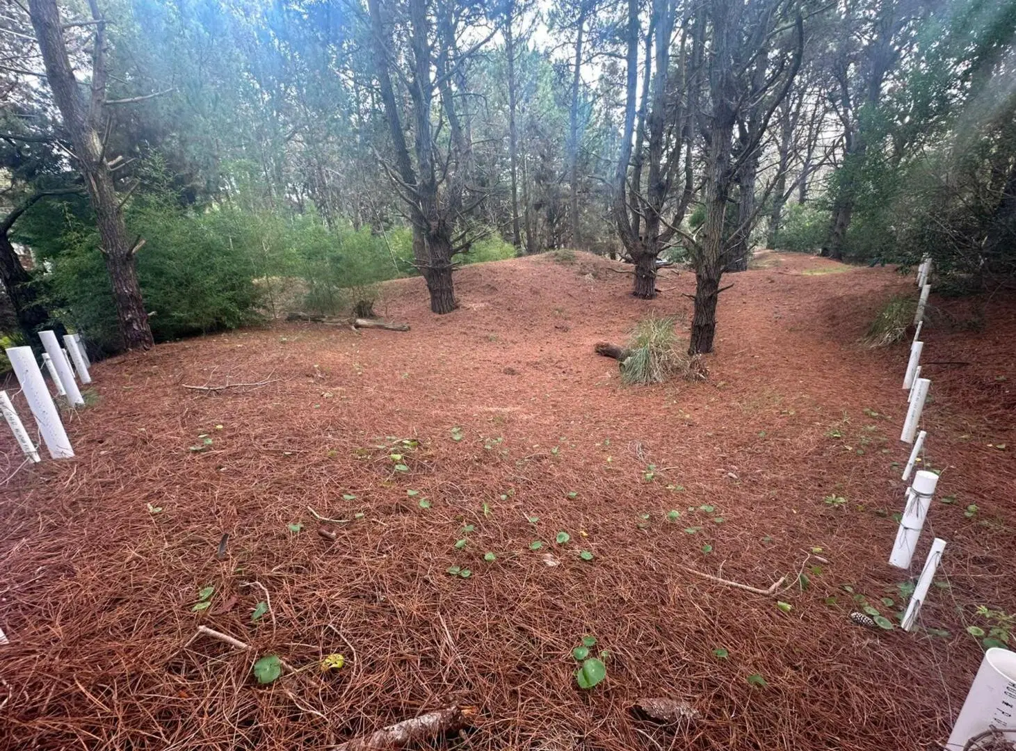 LOTE CERCA DEL MAR VENTA COSTA DEL ESTE 2