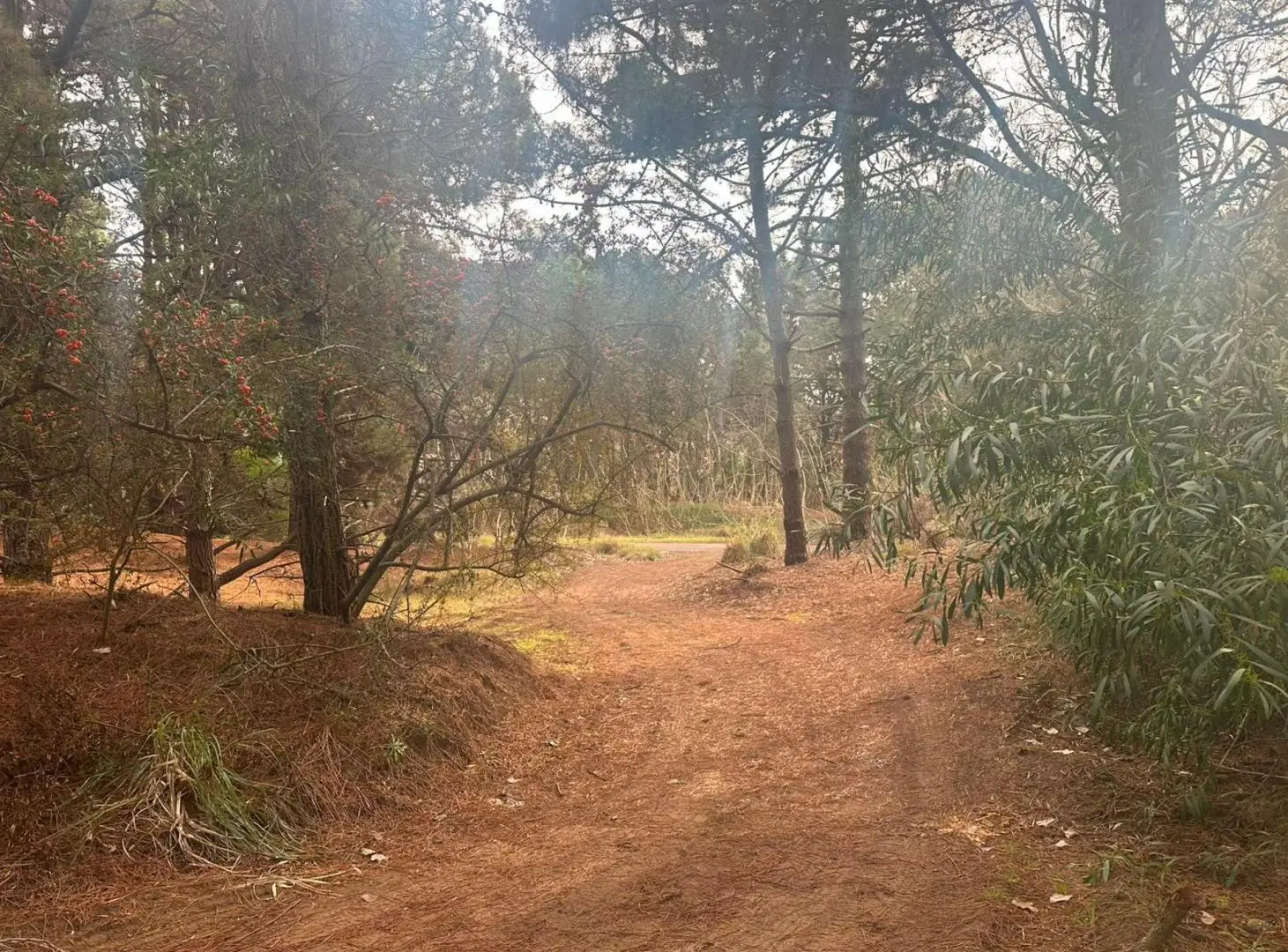 LOTE CERCA DEL MAR VENTA COSTA DEL ESTE 4