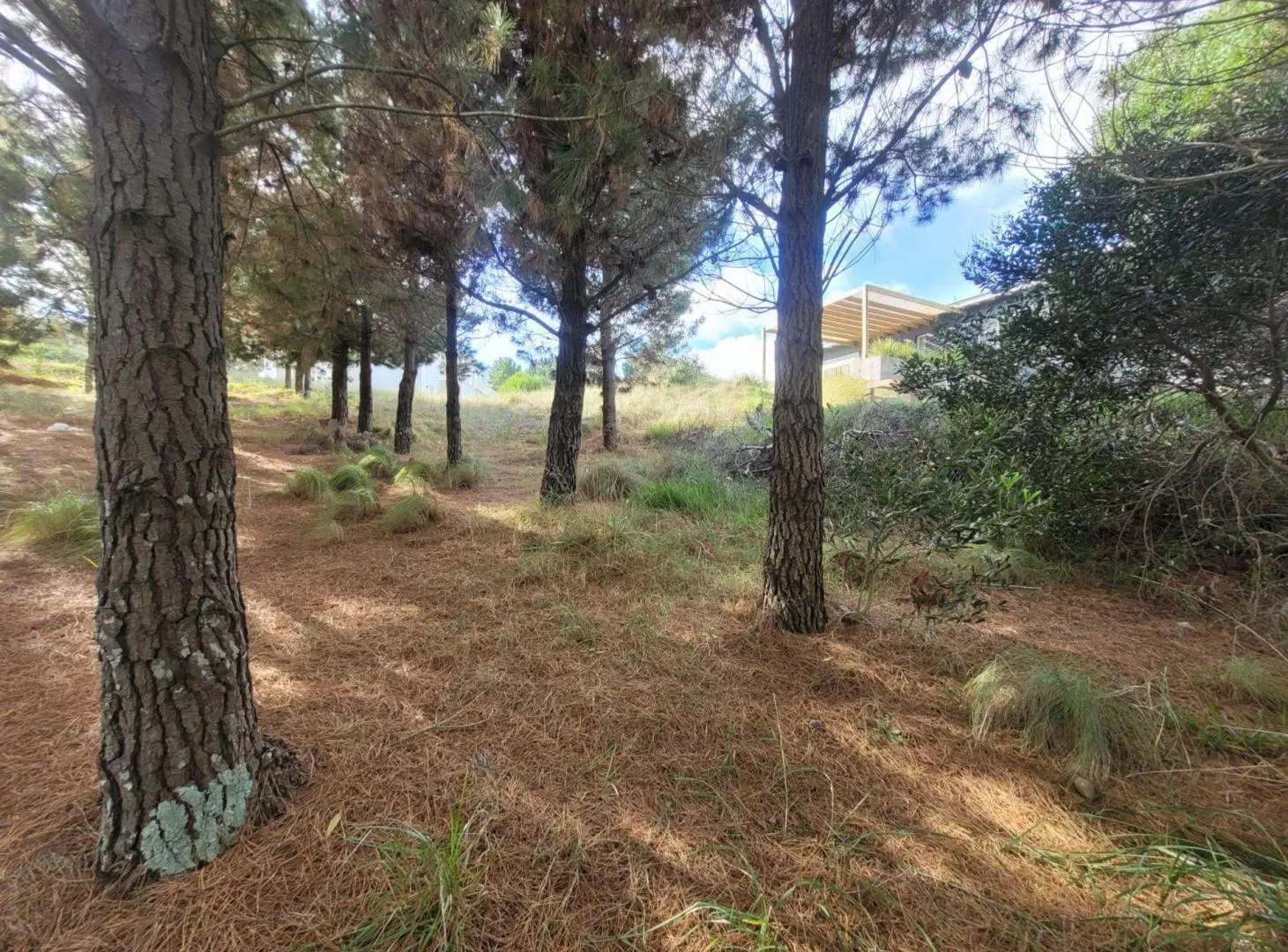 Venta Lote Costa Esmeralda 2