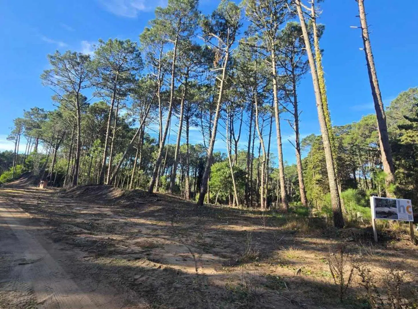 EXCLUSIVO LOTE EN CARILO CON PROYECTO PRE APROBADO 2