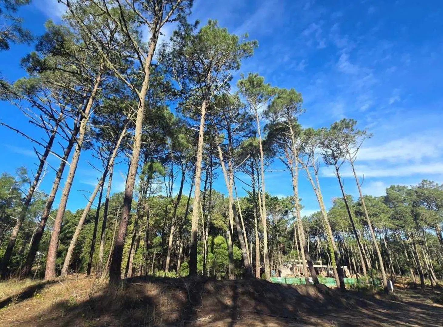 EXCLUSIVO LOTE EN CARILO CON PROYECTO PRE APROBADO 5