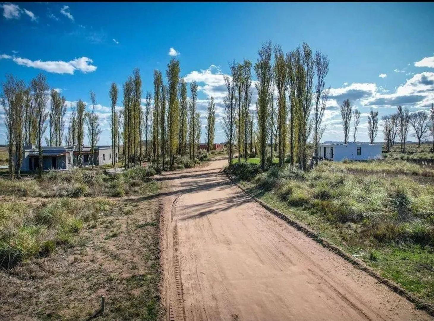 Foto de Venta Lote en El Salvaje, imagen 3