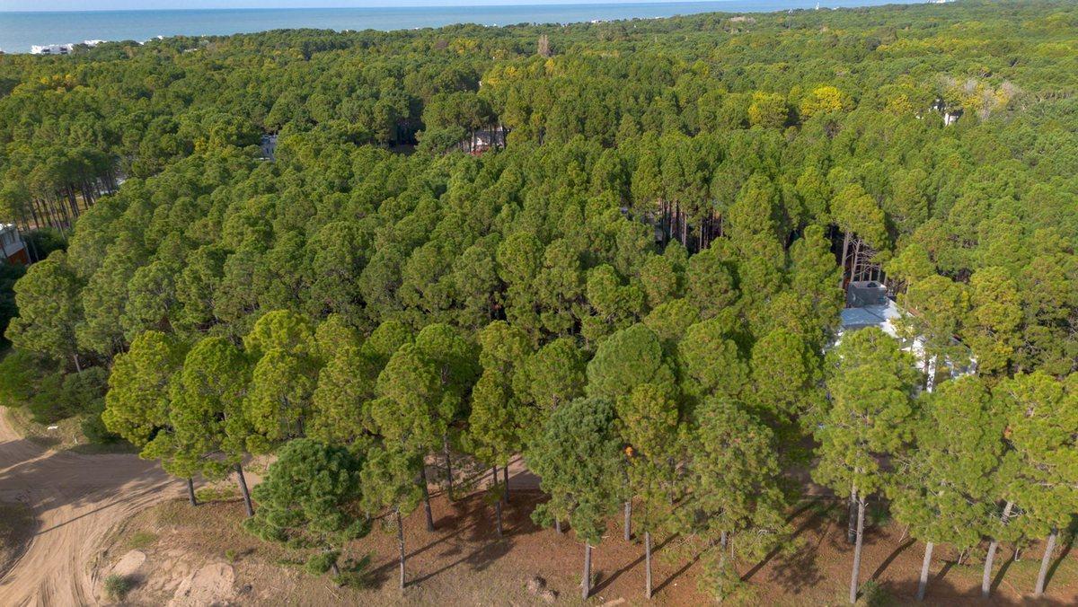 Foto de VENTA LOTE PINAMAR NORTE, imagen 1