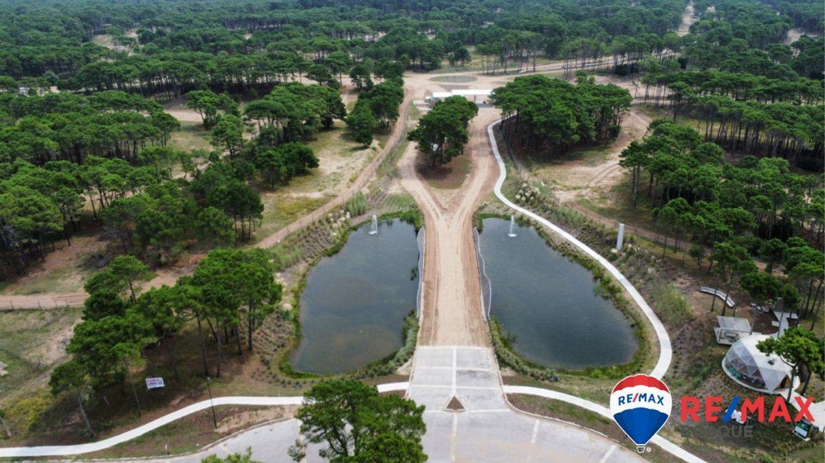 Foto de Venta Lote Pinamar Bosques, imagen 5