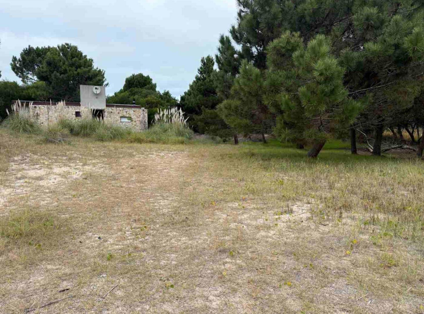 Foto de LOTE EN OPORTUNIDAD EN LAS GAVIOTAS, imagen 3