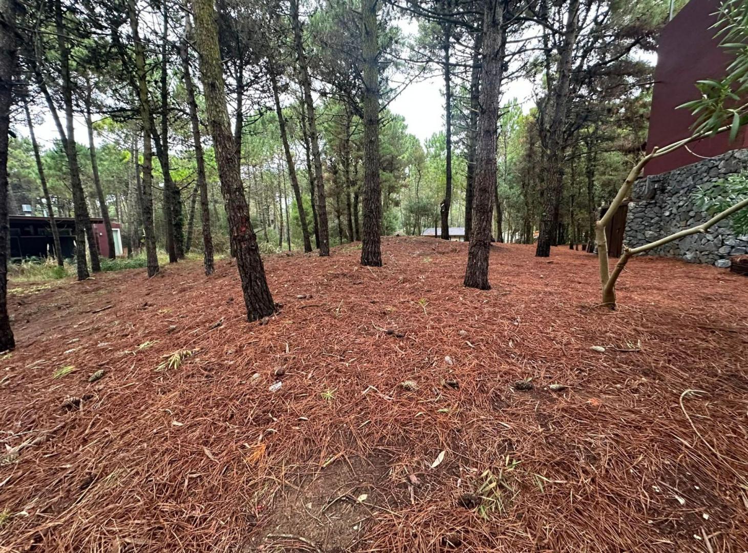 Foto de VENTA LOTE MAR DE LAS PAMPAS, imagen 3
