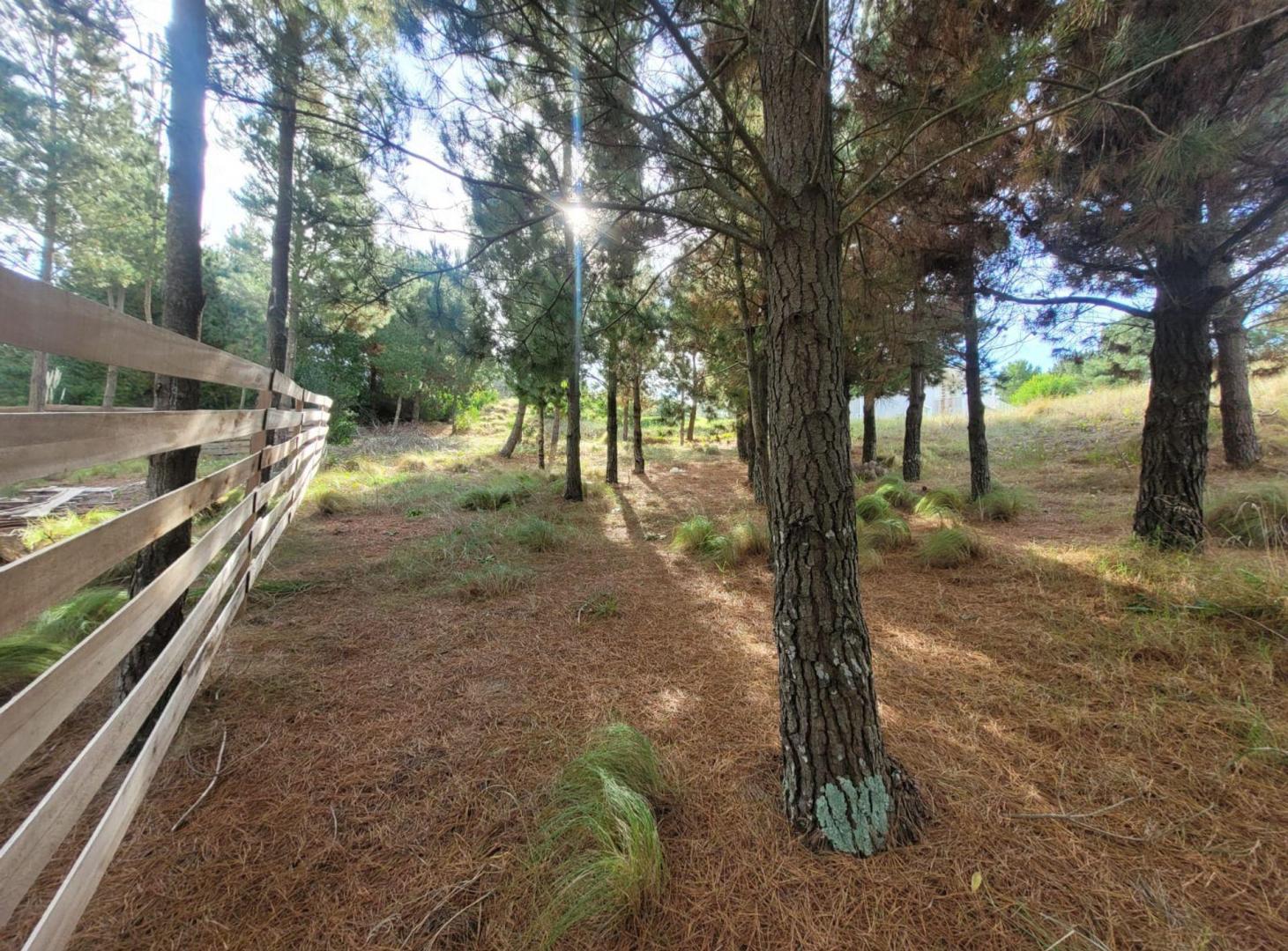 Foto de Venta Lote Costa Esmeralda, imagen 4