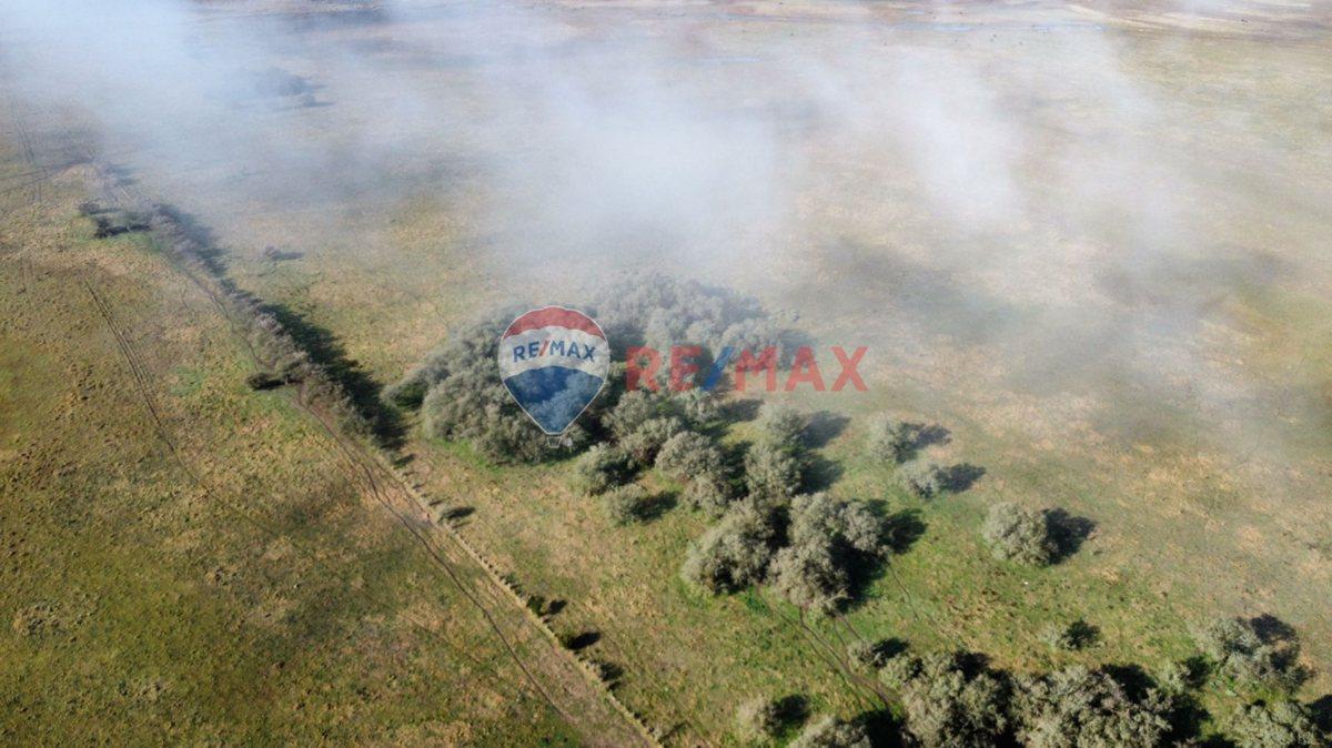 Foto de CAMPO VENTA SOBRE RUTA 11 GENERAL LAVALLE 392,6 HA, imagen 2