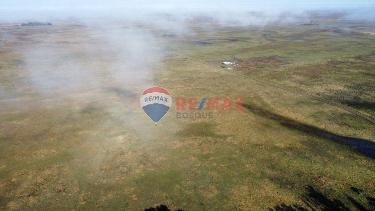 Foto de CAMPO VENTA SOBRE RUTA 11 GENERAL LAVALLE 392,6 HA, imagen 4