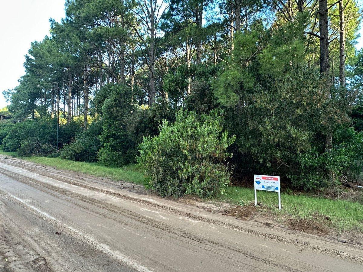 Foto de VENTA LOTE PINAMAR NORTE, imagen 3
