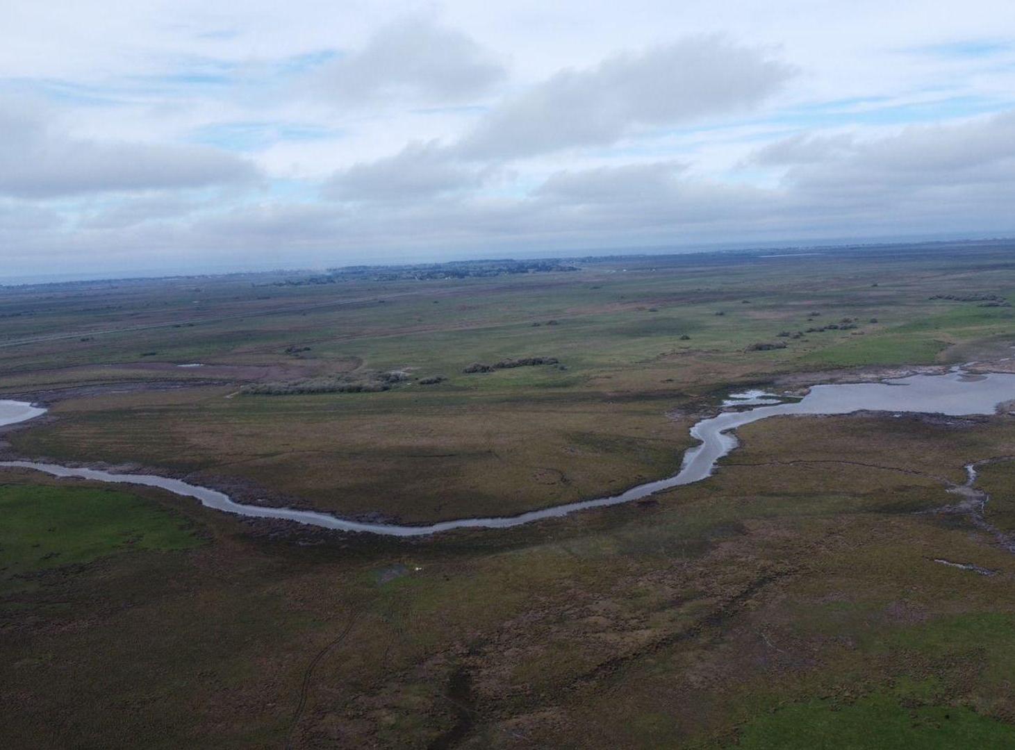 Foto de Campo Venta Gral. Lavalle 249 ha.- Sobre Asfalto, imagen 4