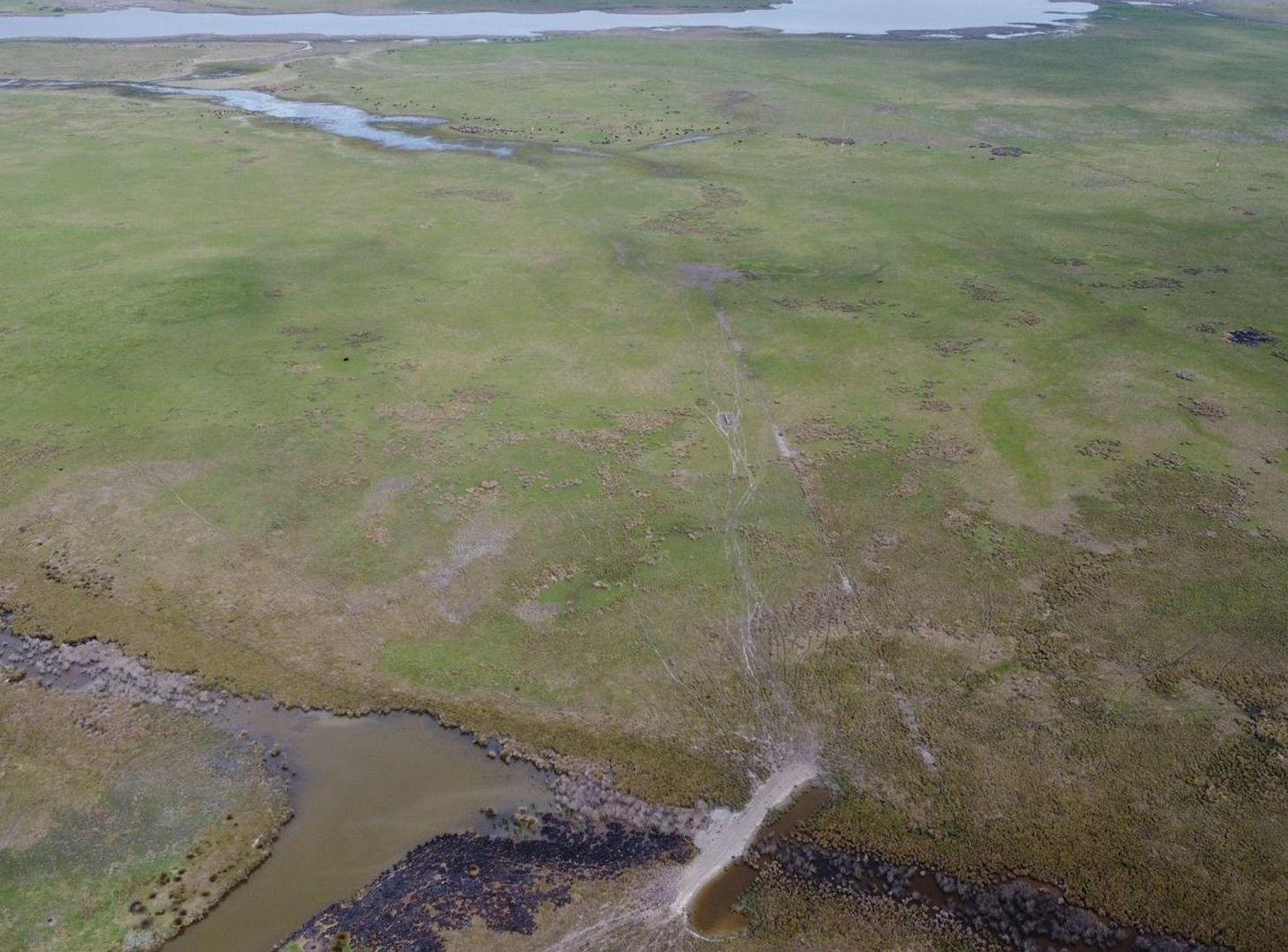 Foto de Campo Venta Gral. Lavalle 249 ha.- Sobre Asfalto, imagen 3