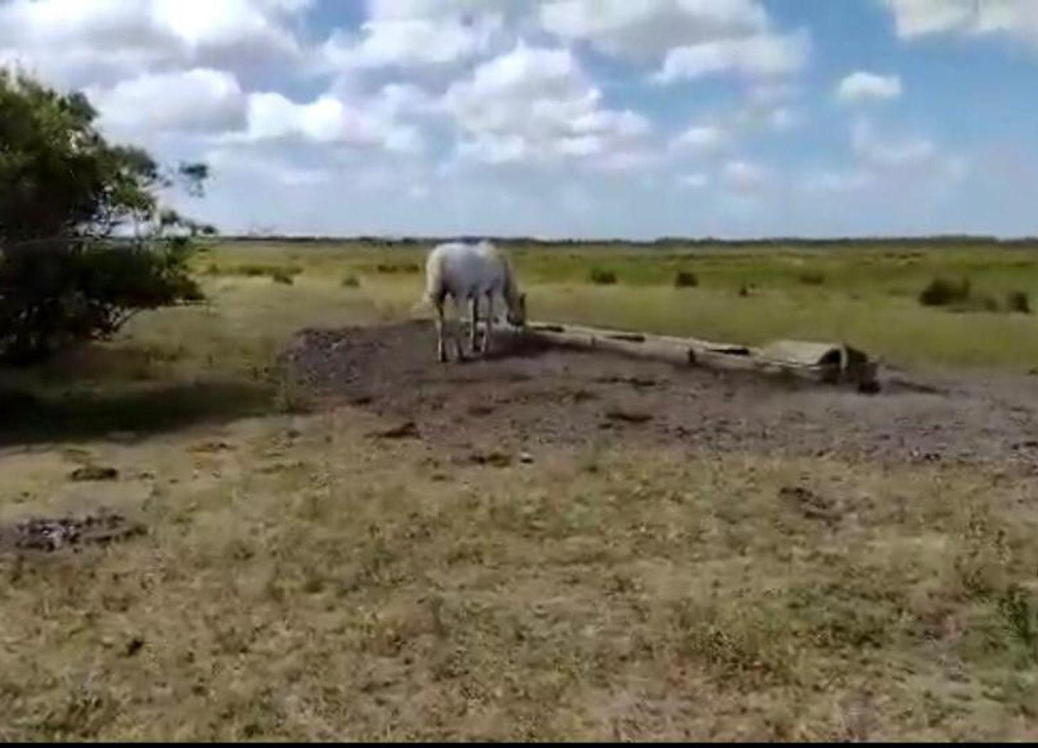 Foto de Campo Venta Gral. Lavalle 249 ha.- Sobre Asfalto, imagen 1