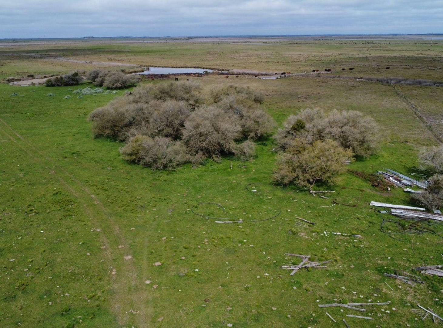 Campo Venta Gral. Lavalle 249 ha.- Sobre Asfalto