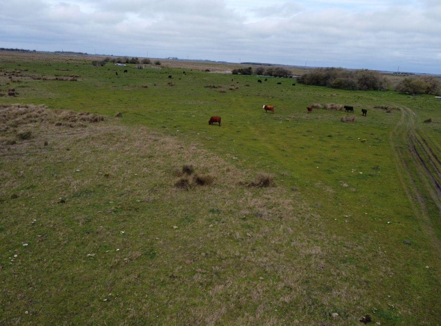 Foto de Campo Venta Gral. Lavalle 249 ha.- Sobre Asfalto, imagen 5