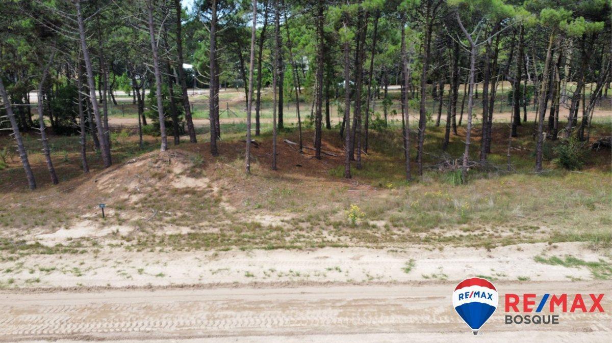 Foto de Venta Lote Pinamar Bosques, imagen 1