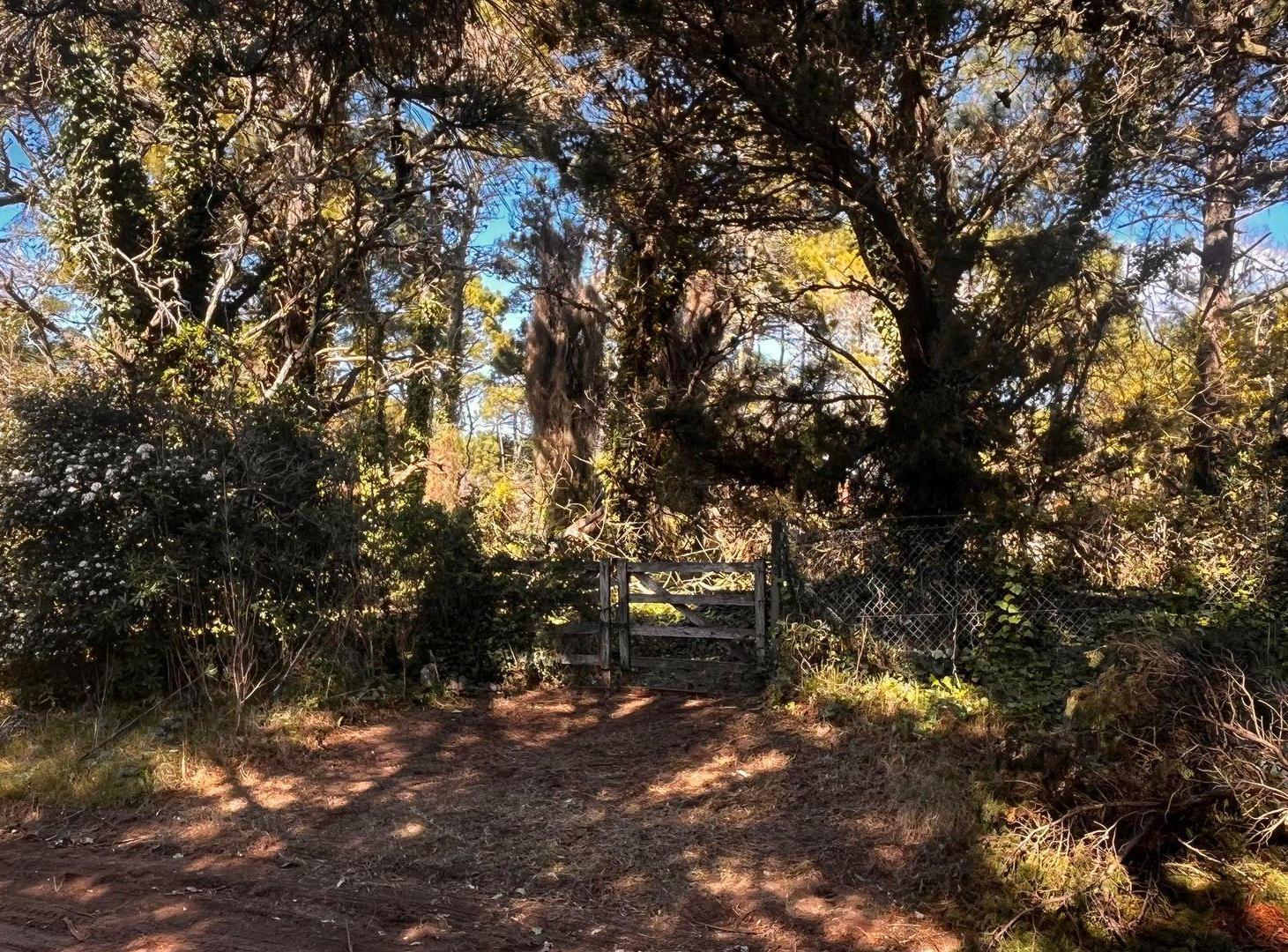 Foto de VENTA DE LOTE EN CARILÓ PINAMAR. A MTS DEL MAR, imagen 3