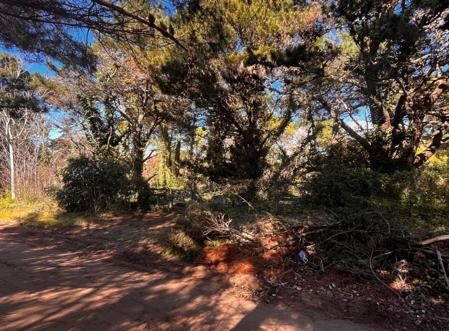 Foto de VENTA DE LOTE EN CARILÓ PINAMAR. A MTS DEL MAR, imagen 4