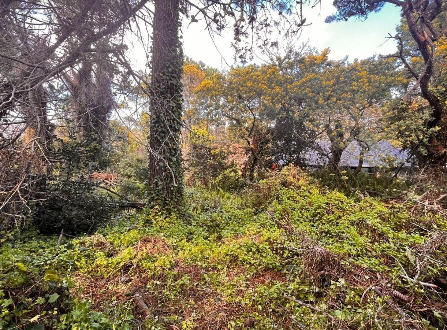 Foto de VENTA DE LOTE EN CARILÓ PINAMAR. A MTS DEL MAR, imagen 5