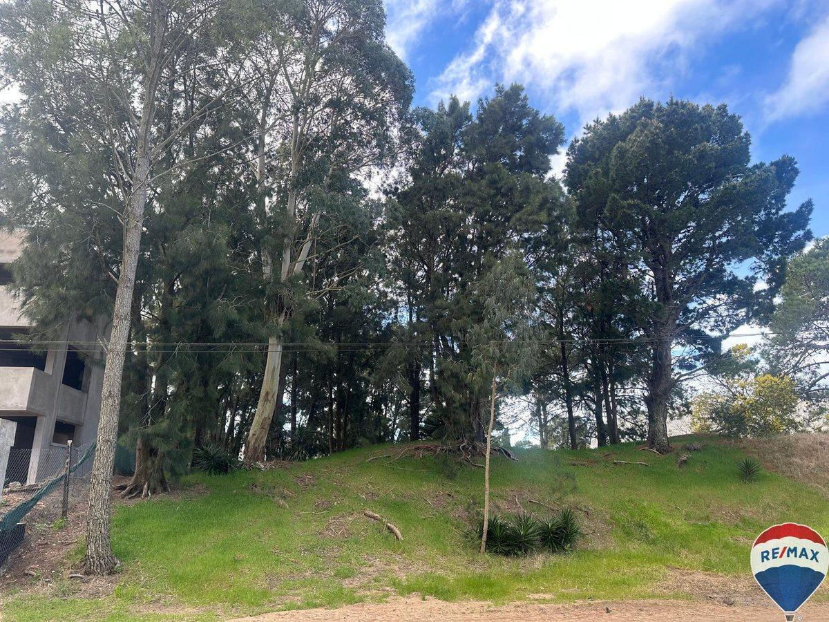 Foto de Lote en venta Villa Gesell Norte, imagen 3