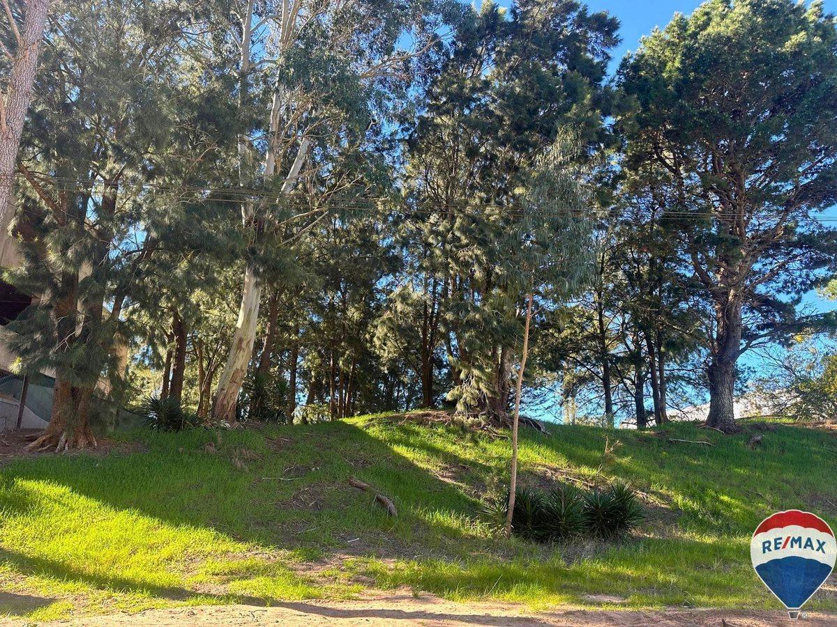 Foto de Lote en venta Villa Gesell Norte, imagen 5